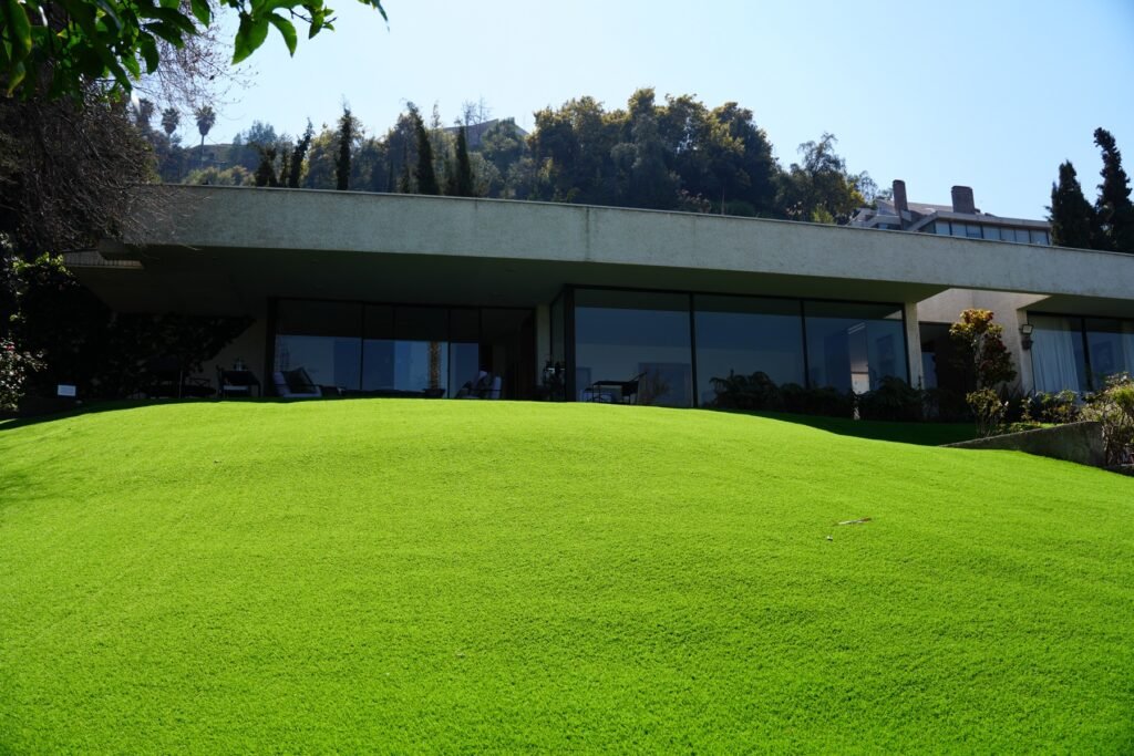 Proyecto AP – Vista general del jardín terminado (pasto Oporto)