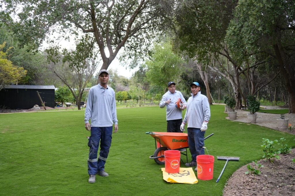 Proyecto CG – Equipo de instalación (pasto Amberley 38 mm)