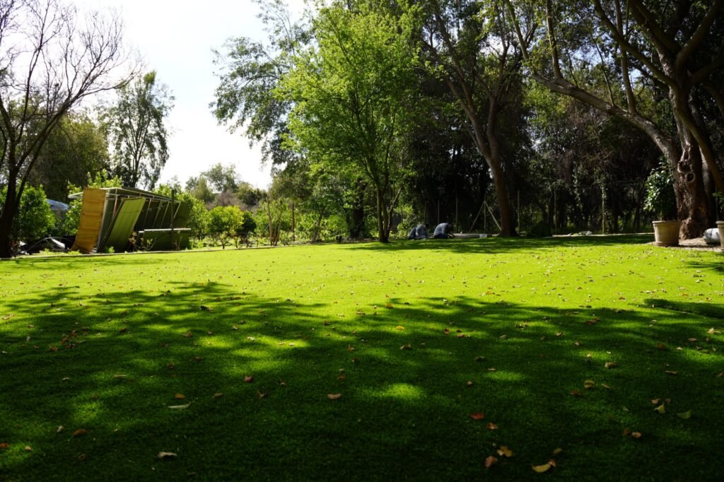 Proyecto CG – Resultado: jardín completo (pasto Amberley 38 mm)