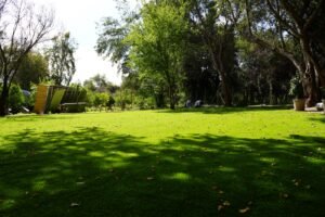 Proyecto CG – Resultado: jardín completo (pasto Amberley 38 mm)