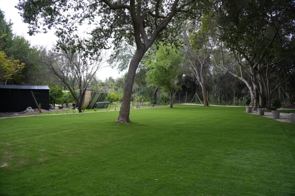 Proyecto CG – Resultado: jardín completo (pasto Amberley 38 mm)