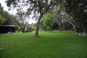 Proyecto CG – Resultado: jardín completo (pasto Amberley 38 mm)