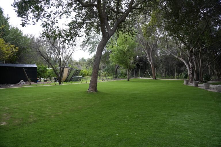 Proyecto CG – Resultado: jardín completo (pasto Amberley 38 mm)