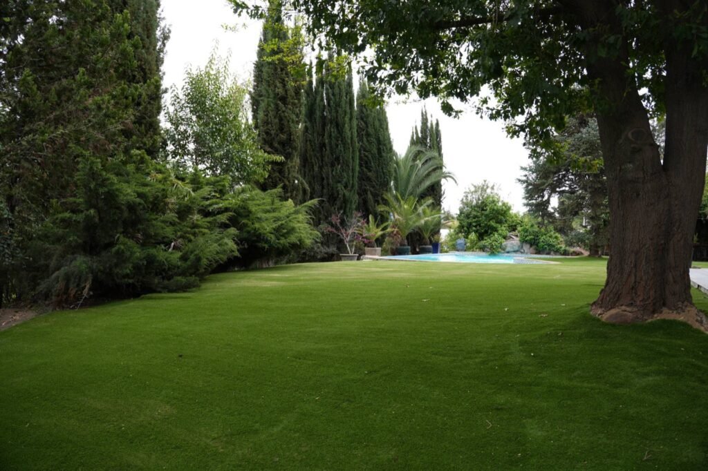 Proyecto AF – Resultado: jardín completo con piscina (pasto Amberley 38 mm)