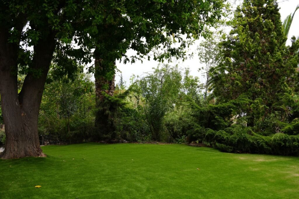 Proyecto AF – Resultado: jardín bajo árboles antiguos (pasto Amberley 38 mm)