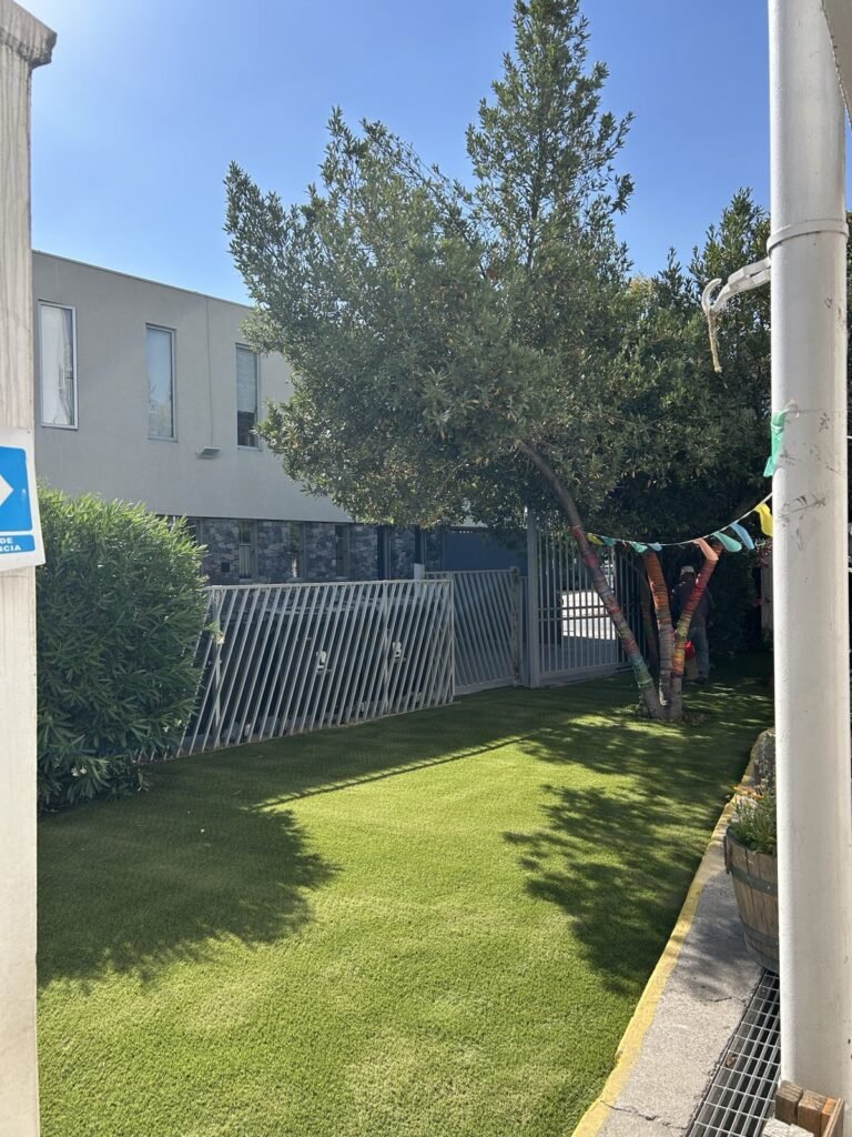 Área verde de colegio con pasto sintético y árboles