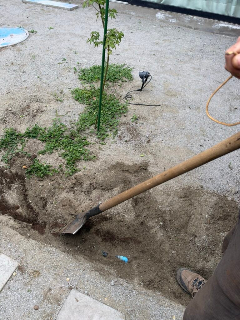 Proyecto MZ – Preparación del terreno (pasto Amberley 38 mm)