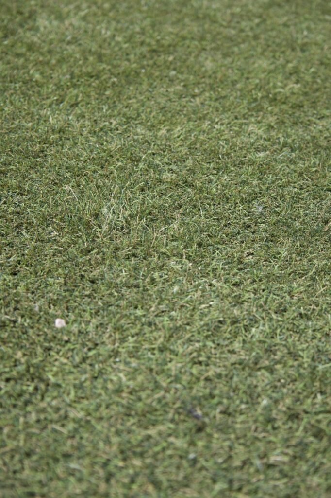 Textura del pasto sintético instalado en un colegio