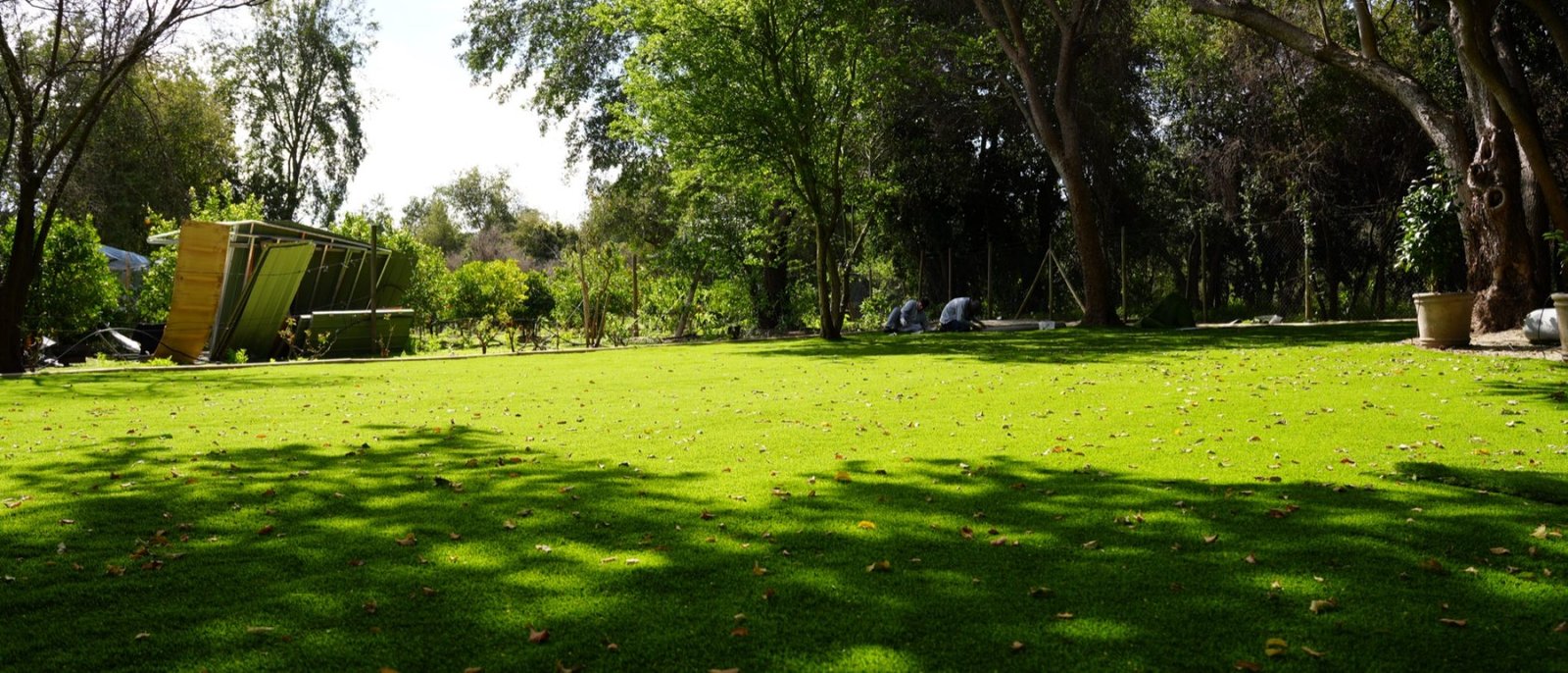 Proyecto CG – Resultado: jardín completo (pasto Amberley 38 mm)