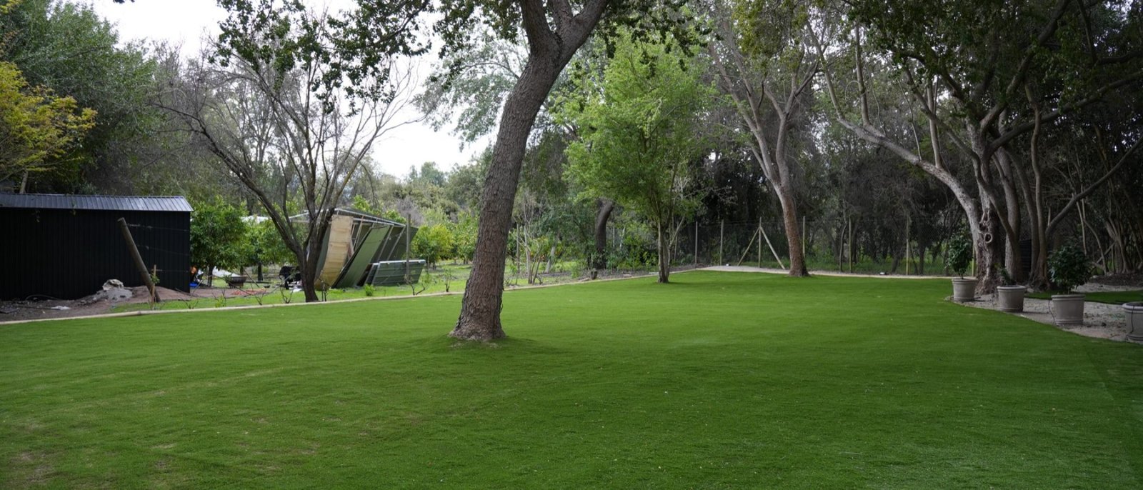 Proyecto CG – Resultado: jardín completo (pasto Amberley 38 mm)