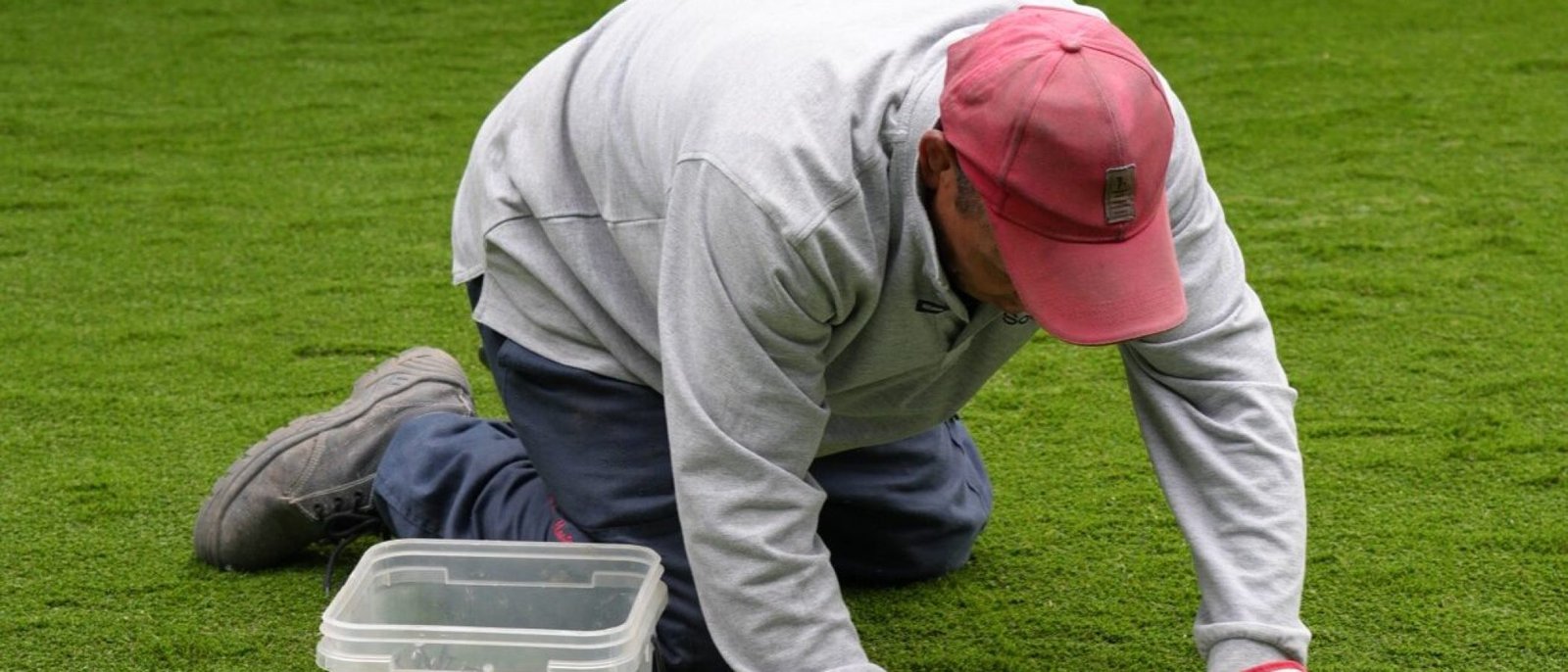 Proyecto MD – Instalación del pasto (pasto Amberley 38 mm)